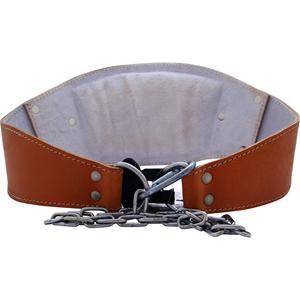 Schiek Sports Genuine Leather Dipping Belt 1 belt