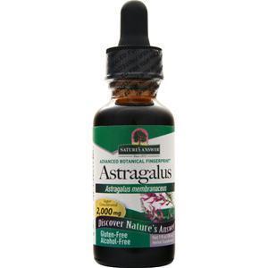 Nature's Answer Astragalus Root (Alcohol Free) 1 fl.oz