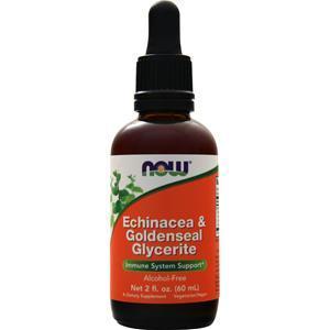 Now Echinacea & Goldenseal Glycerite 2 fl.oz