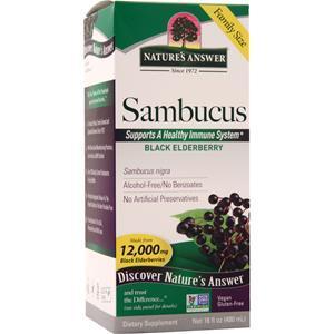 Nature's Answer Sambucus 16 fl.oz
