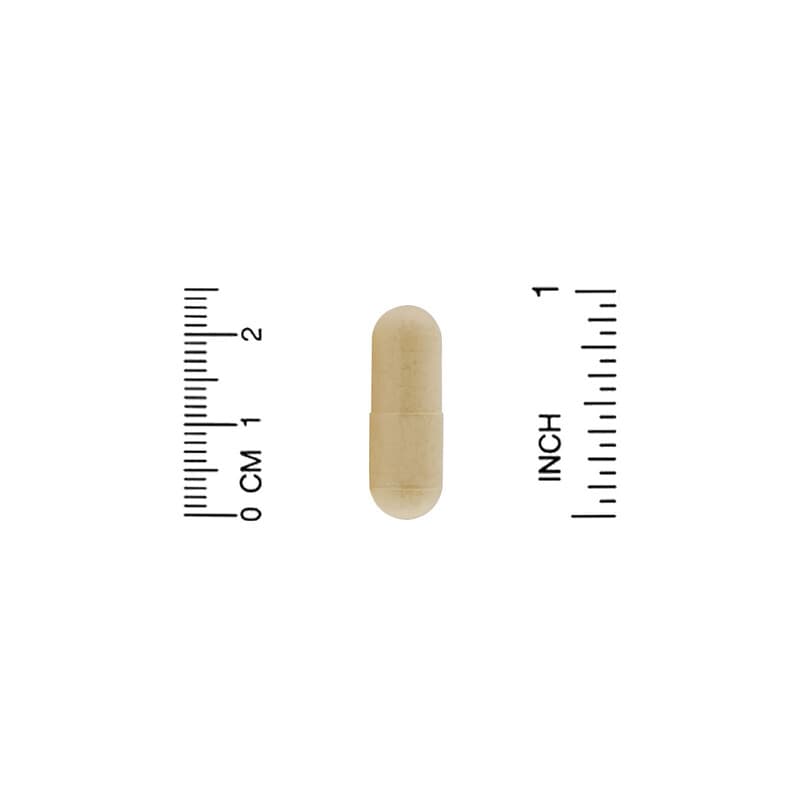 Organic India Amla  90 vcaps