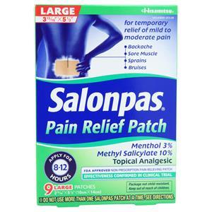 Salonpas Pain Relief Patch Large - Minty Scent 9 count