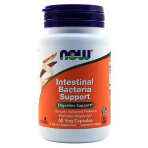 Now Intestinal Bacteria Support  60 vcaps