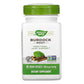 Nature's Way Burdock Root  100 caps