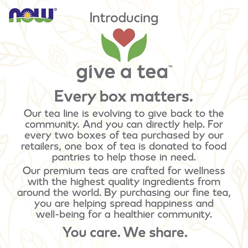 Now Real Tea - Ginger Mint Comfort  24 pckts