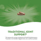 Nature's Way Burdock Root  100 caps