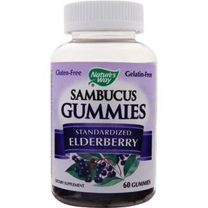 Nature's Way Sambucus Gummies - Standardized Elderberry  60 gummy