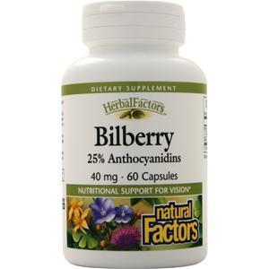 Natural Factors Bilberry Extract (40mg)  60 caps