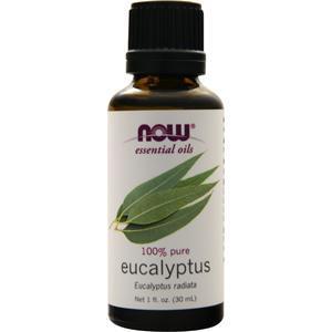 Now Eucalyptus Radiata Oil  1 fl.oz