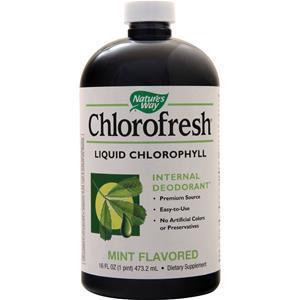 Nature's Way Chlorofresh Liquid Mint 16 fl.oz