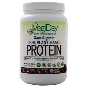 Natural Factors VegiDay - Raw Organic 100% Plant-Based Protein Decadent Chocolate 550 grams