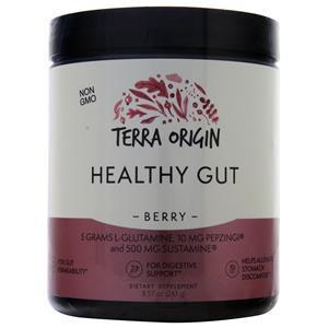 Terra Origin Healthy Gut Berry 8.57 oz