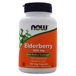 Now Elderberry Extract (500mg)  120 vcaps