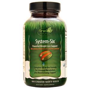 Irwin Naturals System-Six  60 sgels