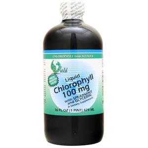 World Organics Liquid Chlorophyll (100mg) with Spearmint and Glycerin 16 fl.oz