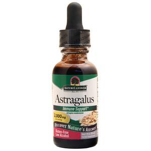 Astragalus Root (Gluten-Free Low Alcohol) 1 fl.oz