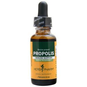 Propolis 1 fl.oz