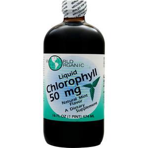 World Organics Liquid Chlorophyll (50mg) Mint 16 fl.oz